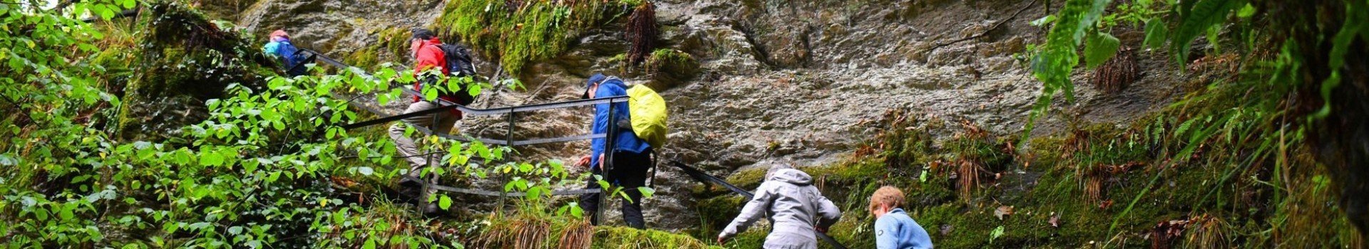 Banner wandelreis bertrix wandel nl en kwbn ardennen