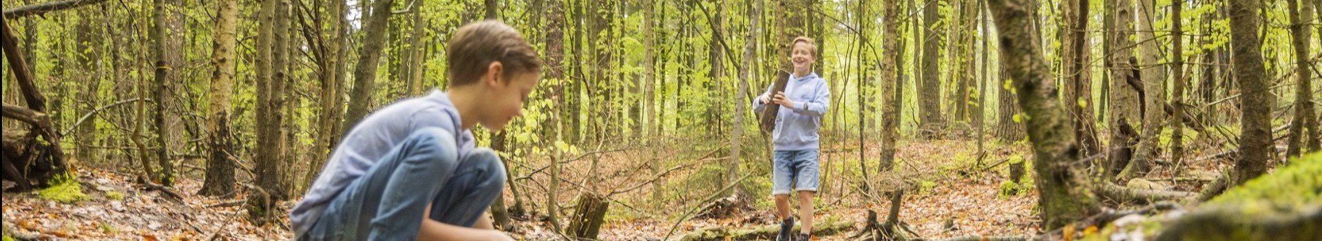 Camping bertrix speelbos 5