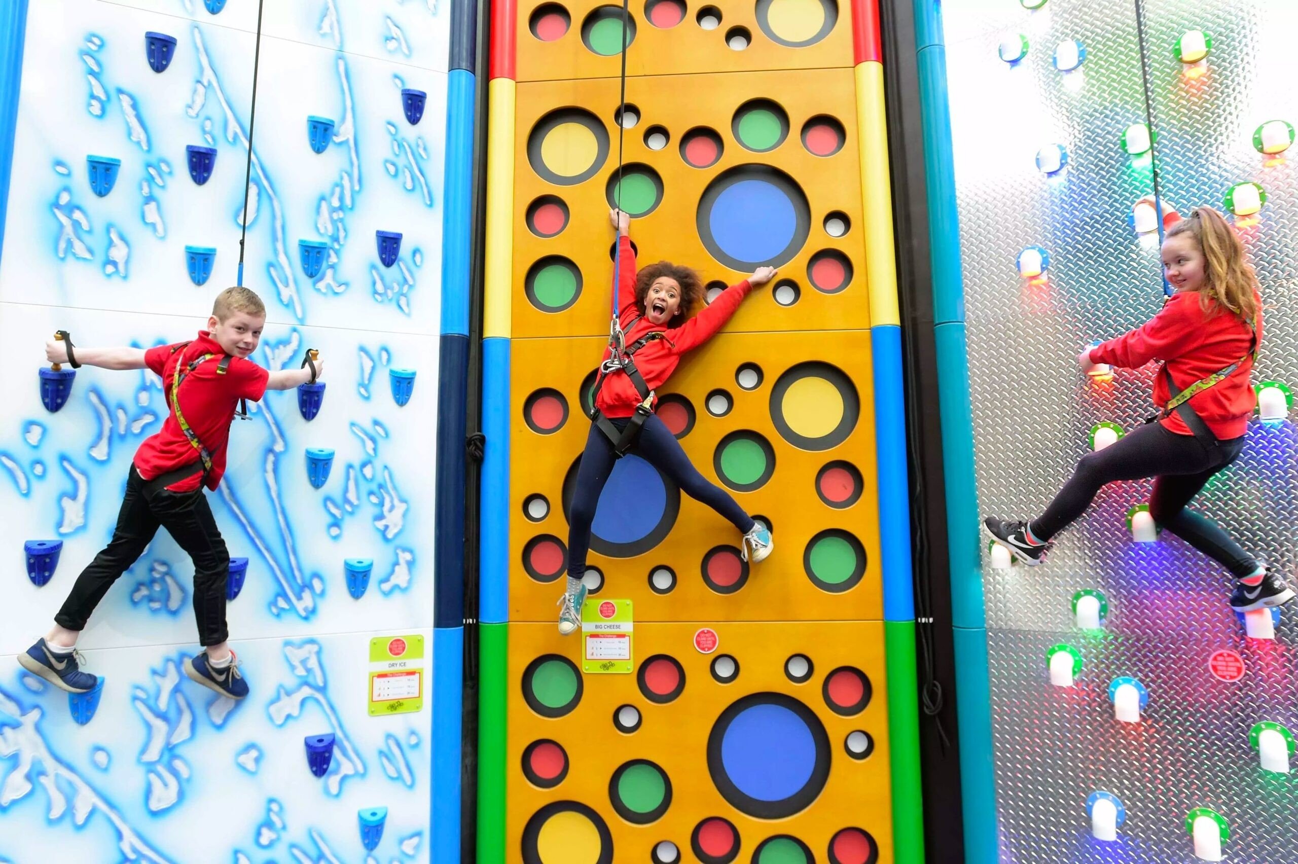 funny mountain arlon