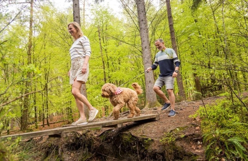 Urlaub in belgien mit hund natur